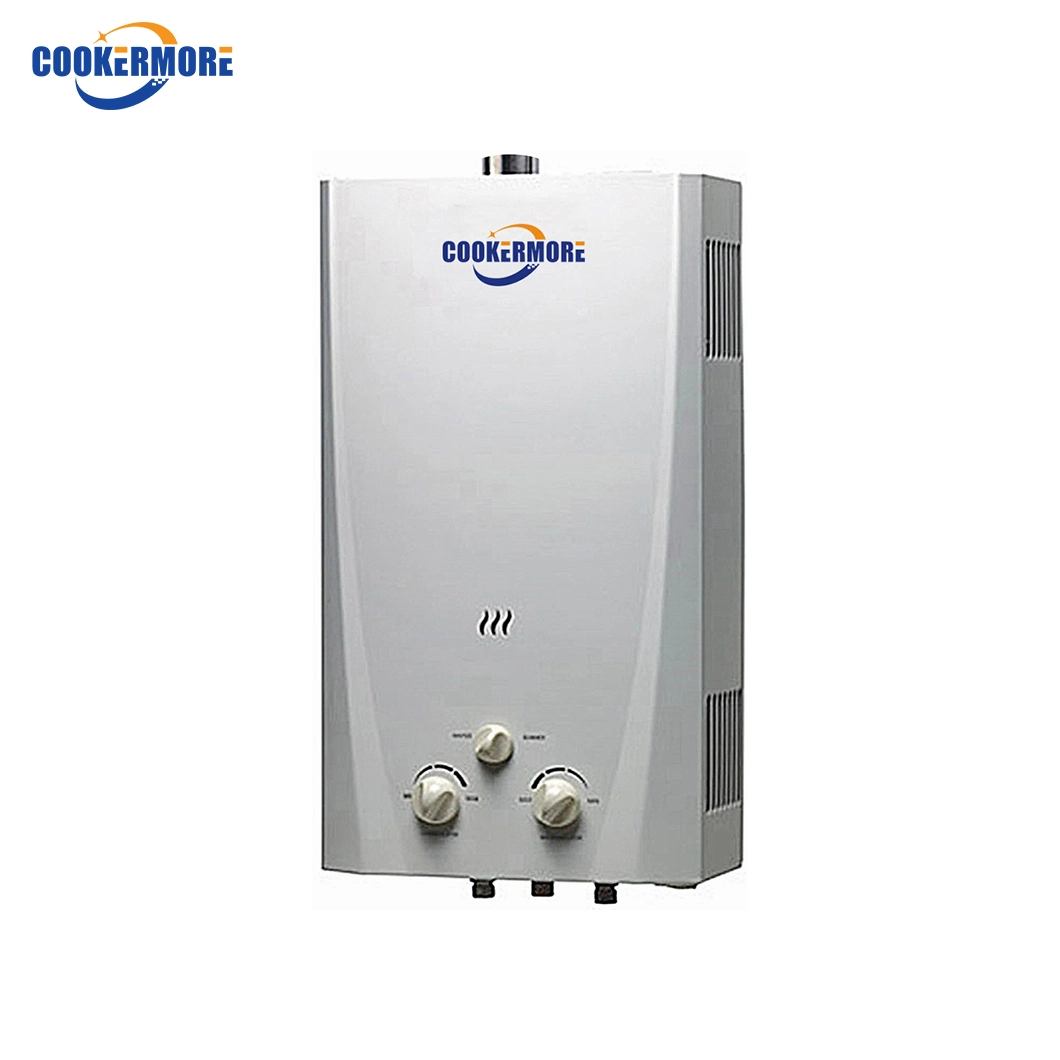 6L 8L 10L 12L Propane 36kw Tankless Instant Boiler Stainless Gas Geyser Gas Water Heater